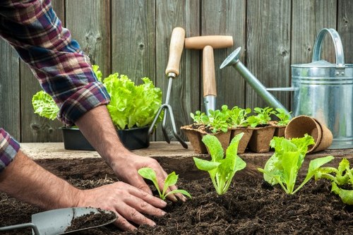Gardener performing remedial work in a client's garden