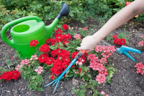 Auditor reviewing contractor documents for garden services