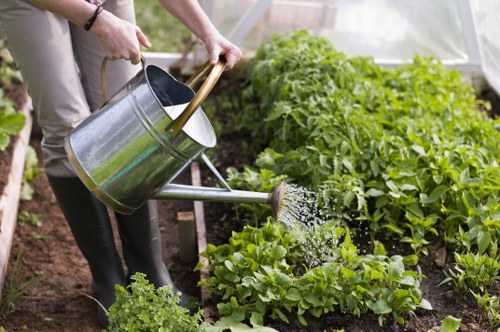 Volunteers and charity partnership receiving garden materials